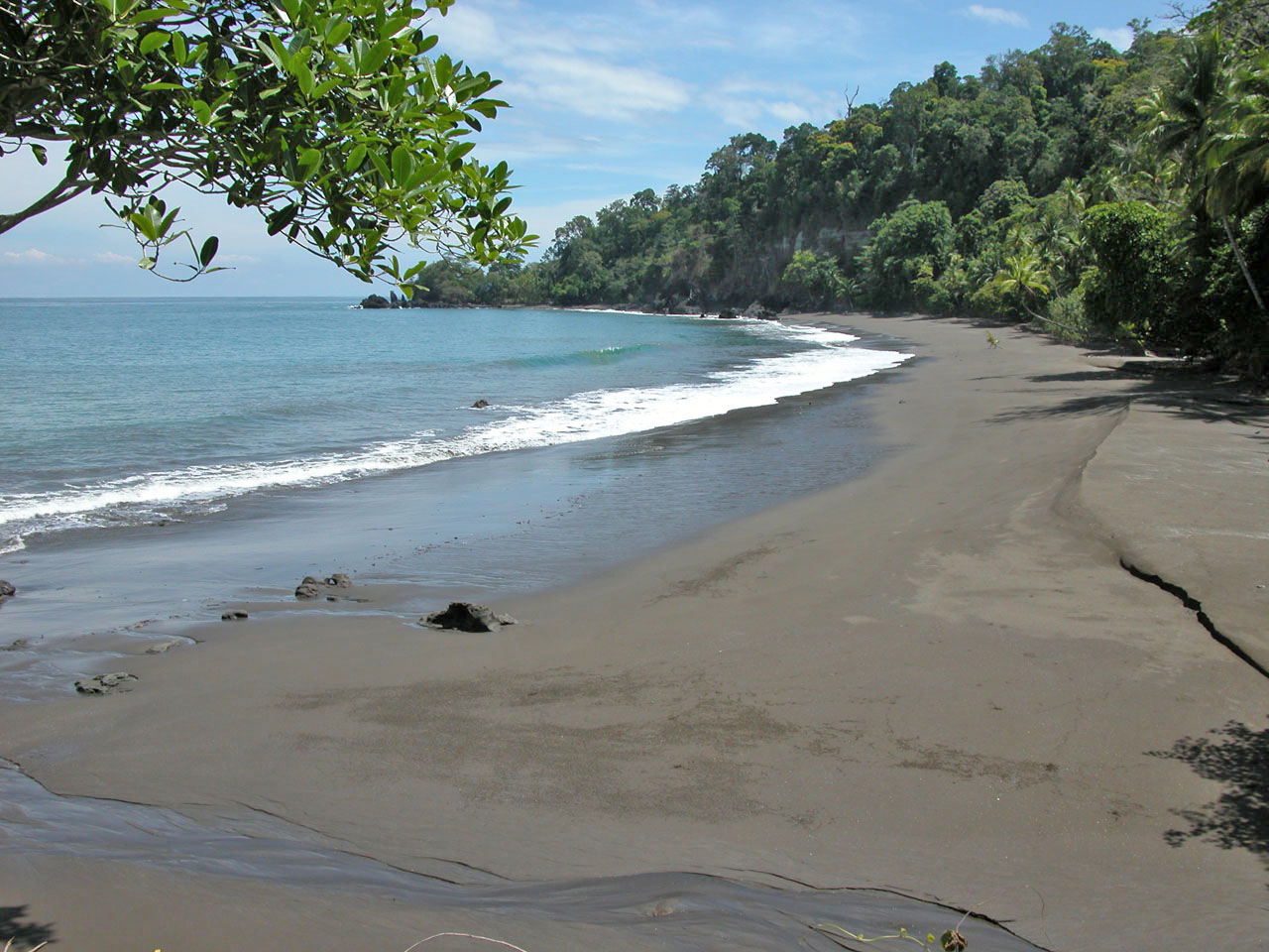 Osa Peninsula Beach