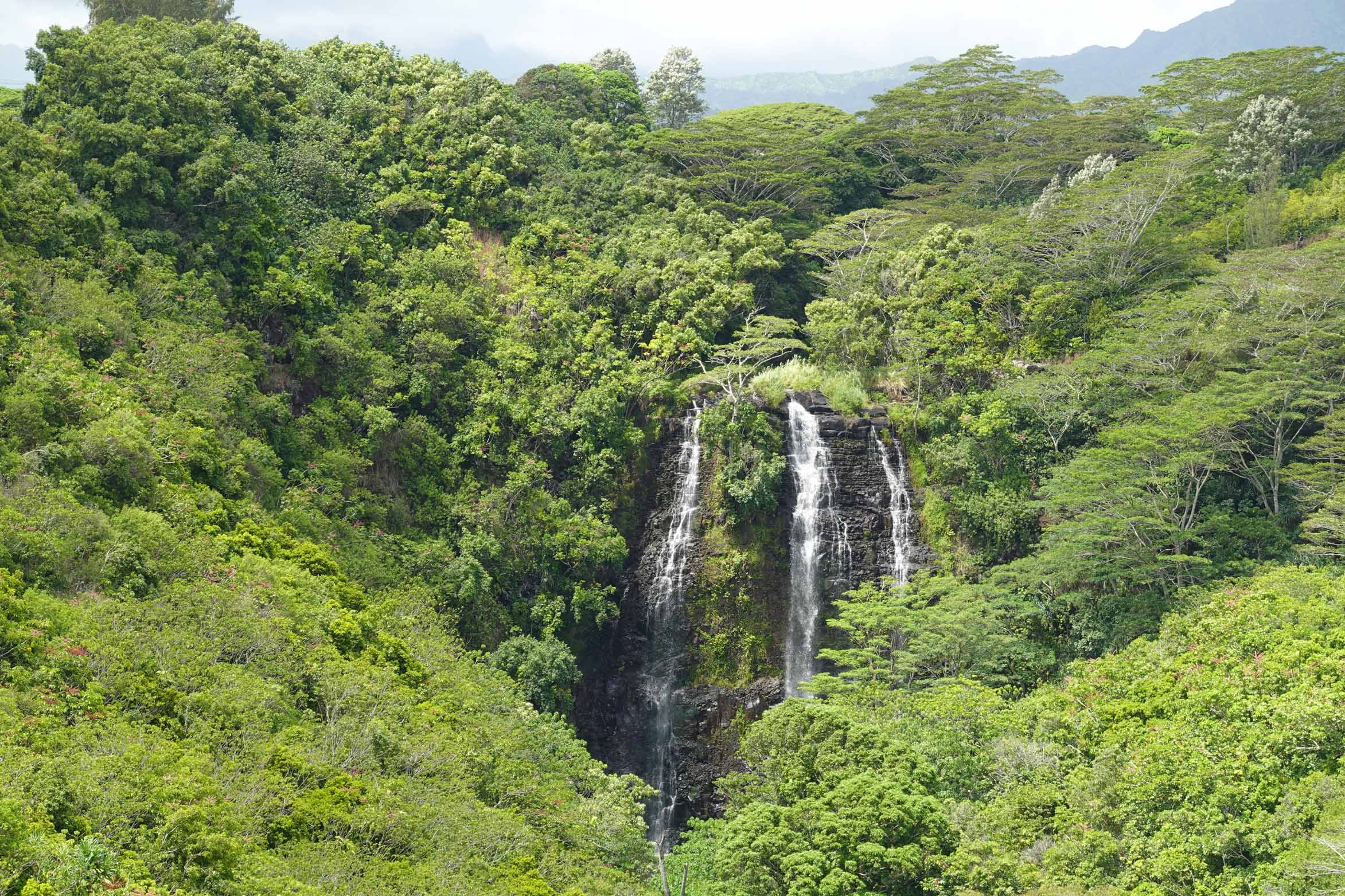 Opaekaa Falls, Kauai